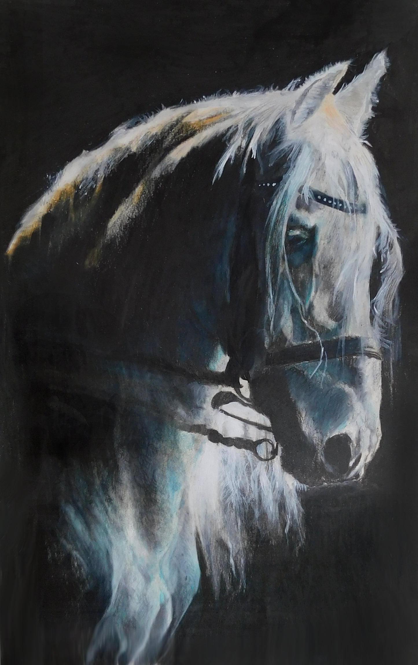 Nathan Brown's "White Shadow" Prints